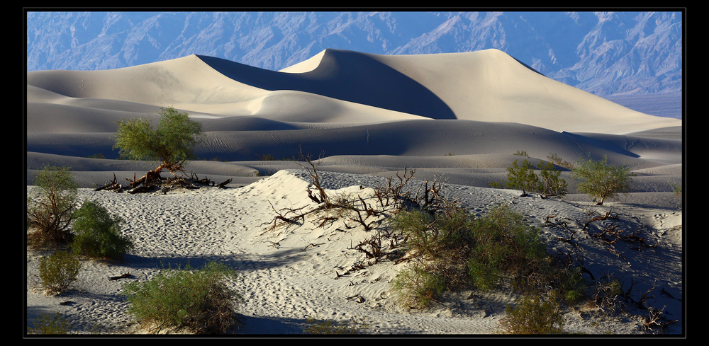 death valley dunes