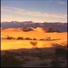 Death Valley Dunes