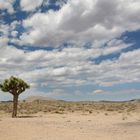 Death Valley