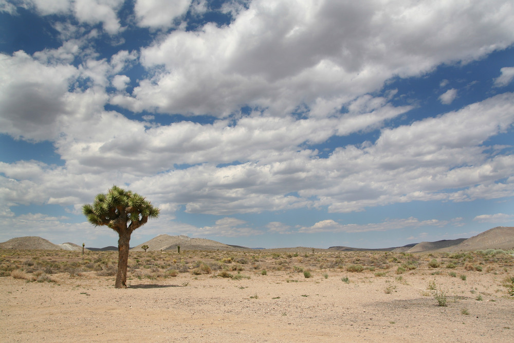 Death Valley von Dominic Rüfenacht 