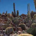 Death Valley