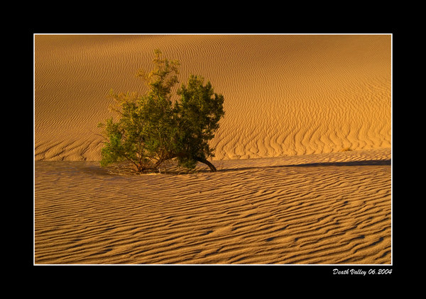 Death Valley