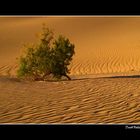 Death Valley