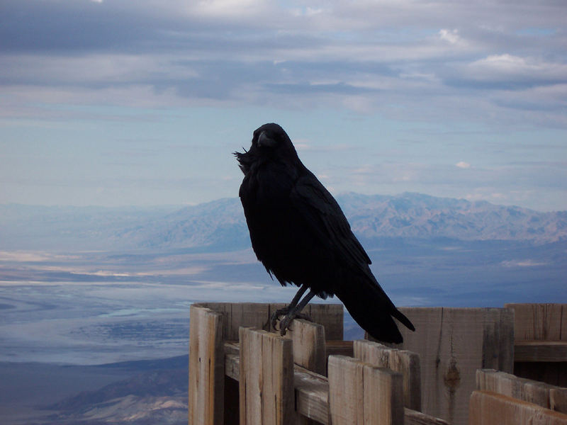 Death Valley