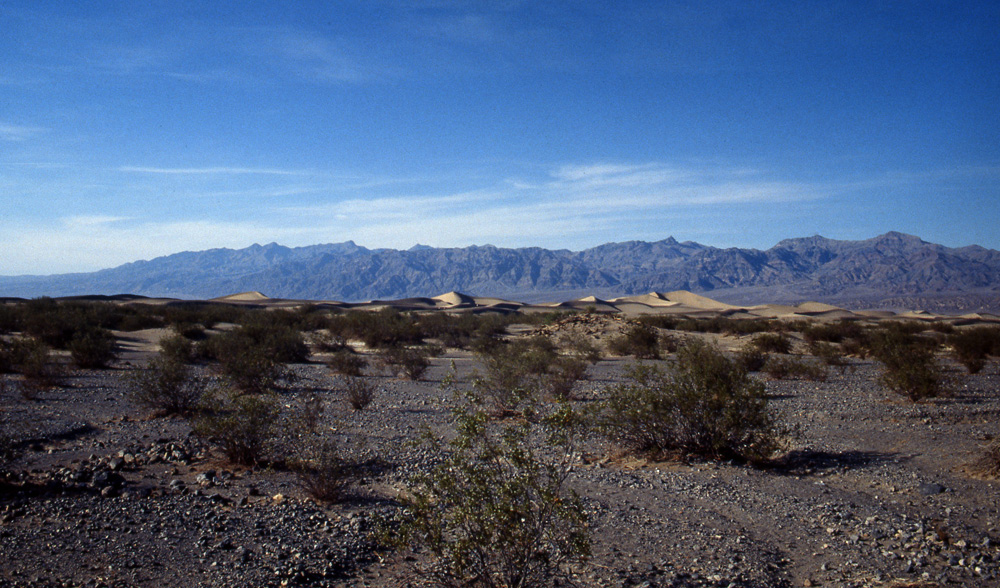 Death Valley II