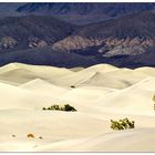 Death Valley im Zauberlicht ...
