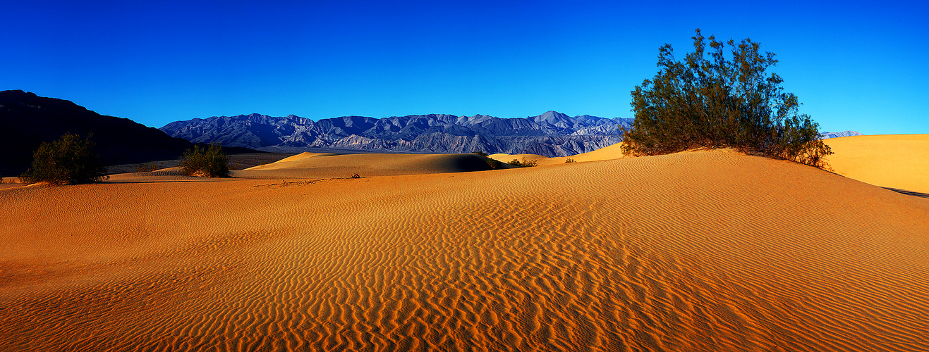 Death Valley "Mesquite Dunes"