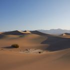 Death Valley - Mesquite Sand Dunes - Sunrise