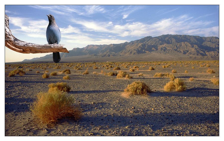 Death Valley mit Eyecatcher