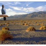 Death Valley mit Eyecatcher