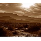 Death Valley Morning