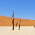 Death Valley Namibia