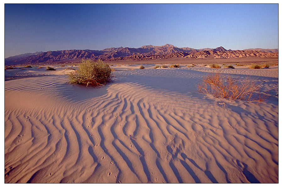 Death Valley NP