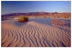 Death Valley NP