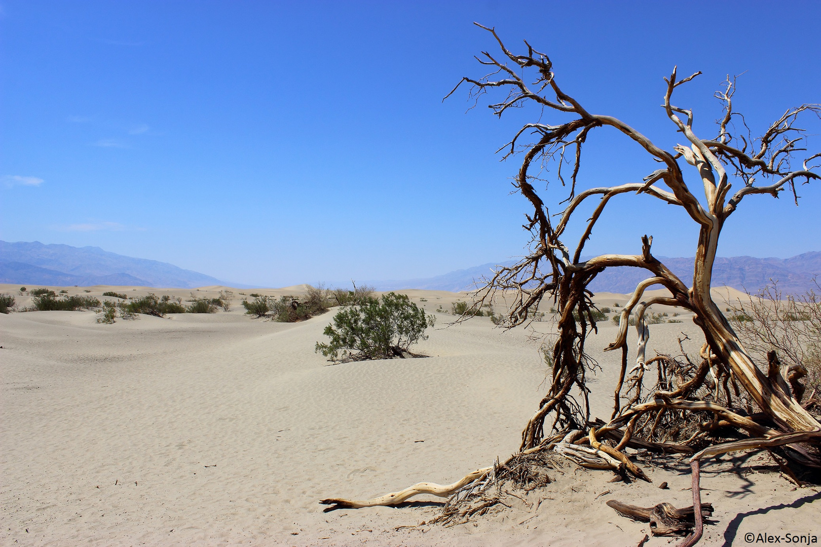 Death Valley NP