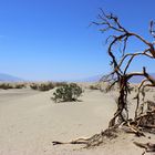 Death Valley NP