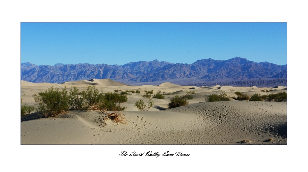 Death Valley Sand Dunes