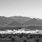 Death Valley Sand Dunes