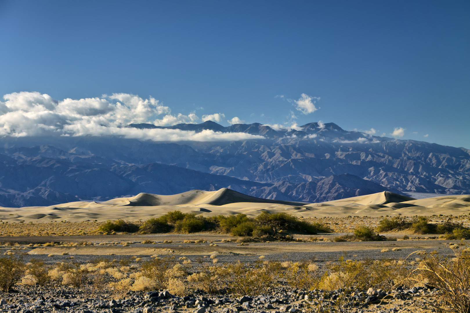 Death Valley / Sand Dunes