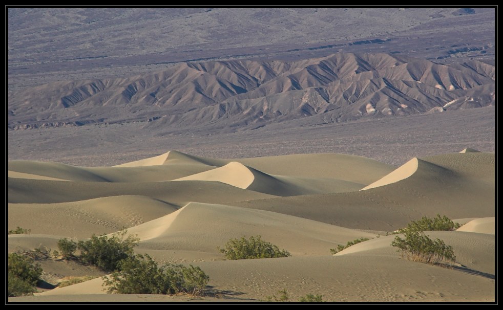 Death Valley Sand Dunes II