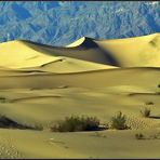 Death Valley - Stovepipe Wells # 5