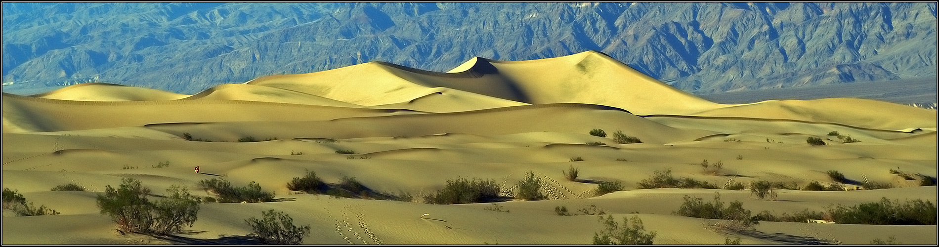 Death Valley - Stovepipe Wells # 5