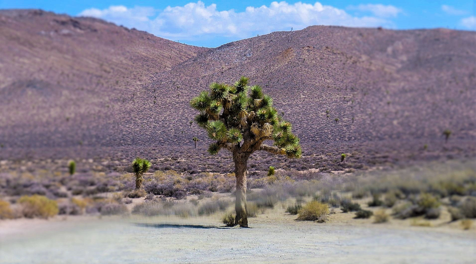 Death Valley USA