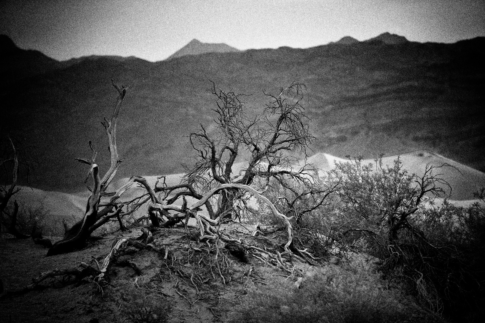 Death Vally morning in BW