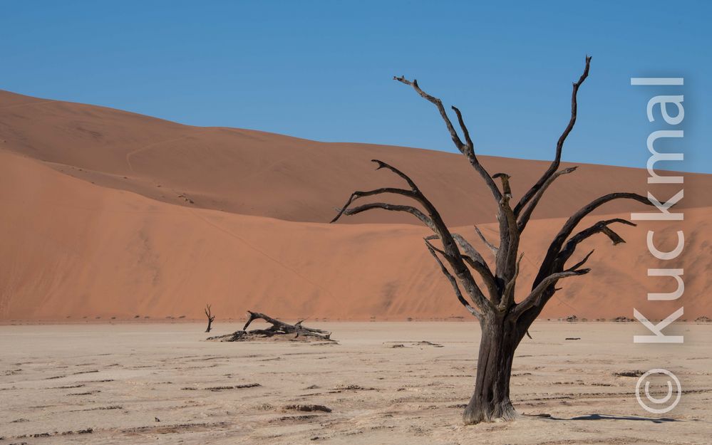 Death Vlei