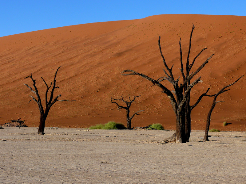 death vlei