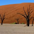 death vlei