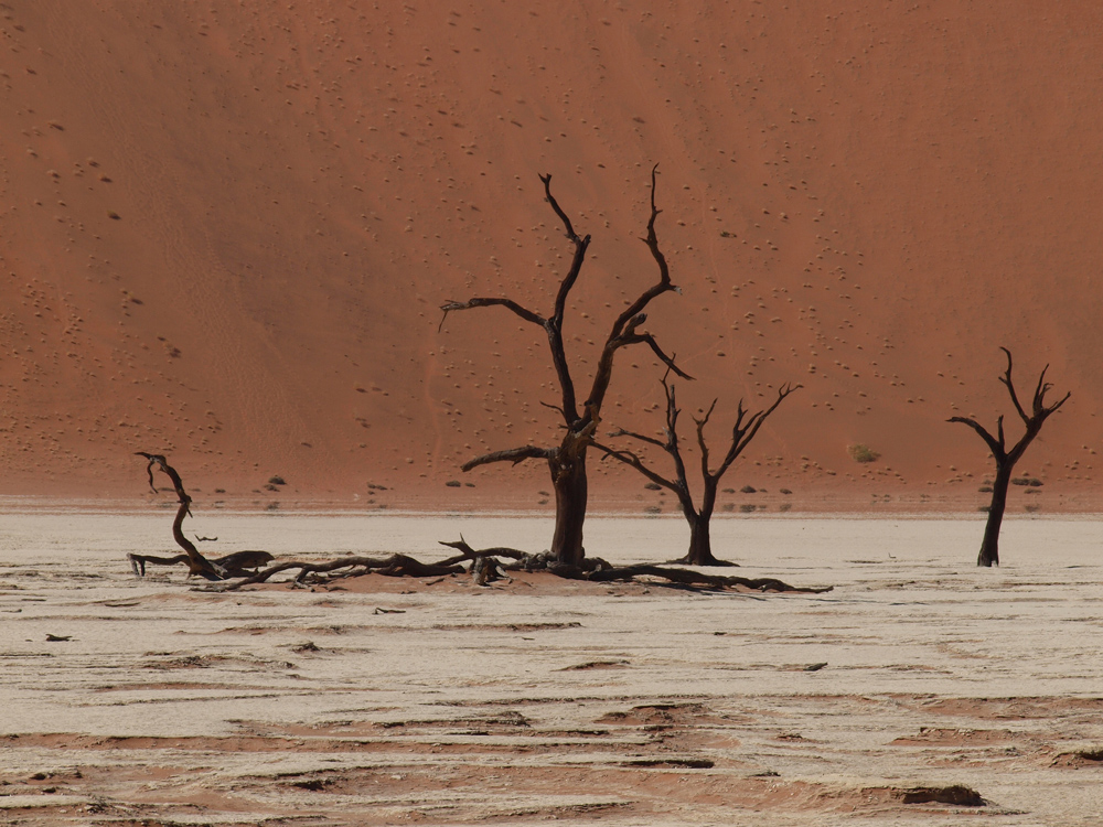 Death Vlei