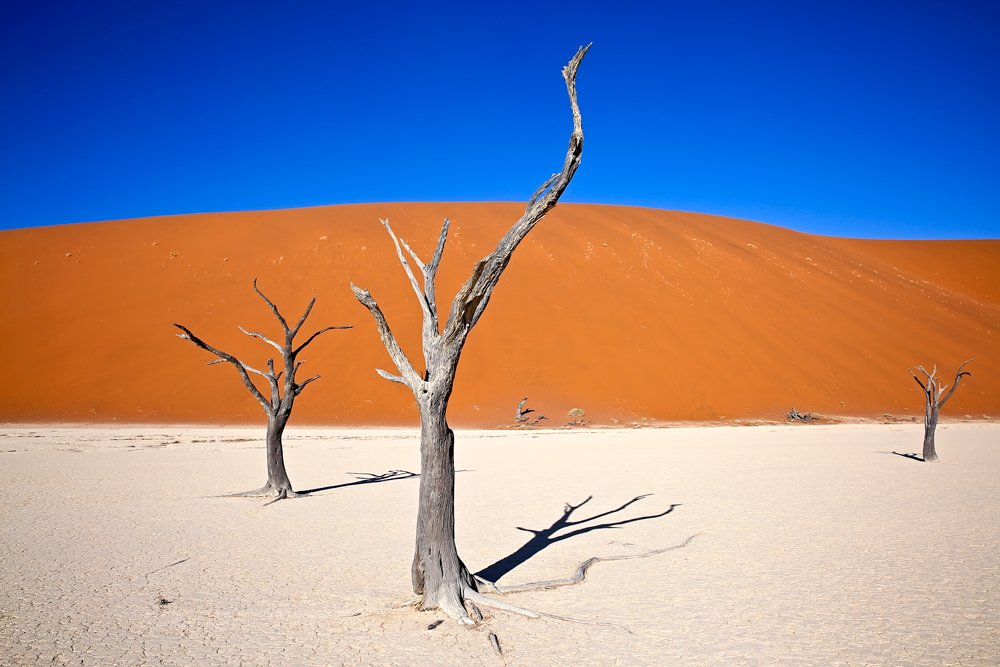 death vlei