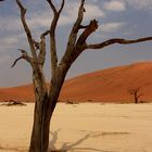 Death Vlei