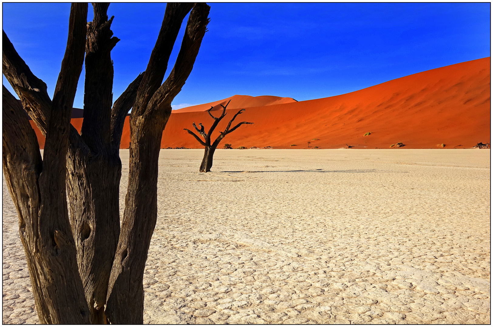 death vlei