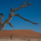 Death Vlei