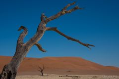 Death Vlei