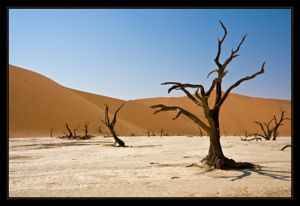 Death Vlei