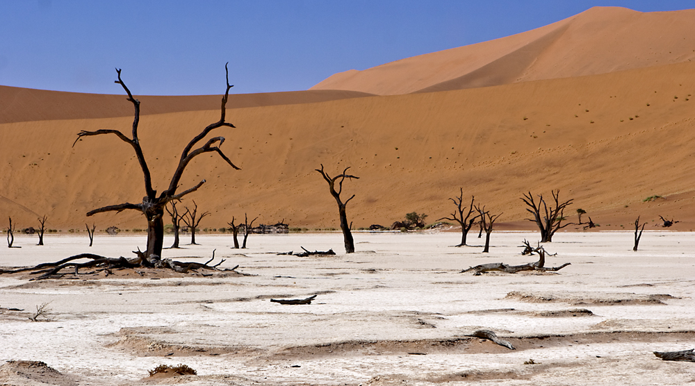 Death Vlei