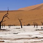 Death Vlei