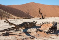 Death Vlei