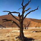 Death Vlei