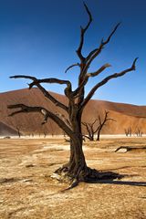 Death Vlei