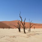 Deathvlei