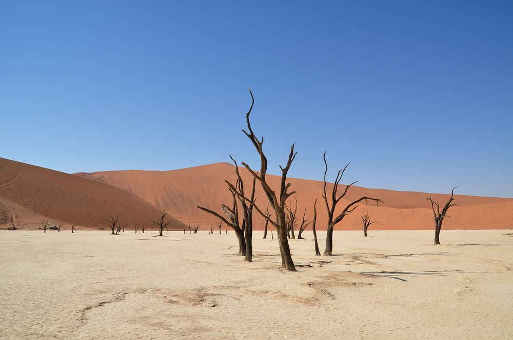 Deathvlei