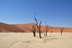 Deathvlei