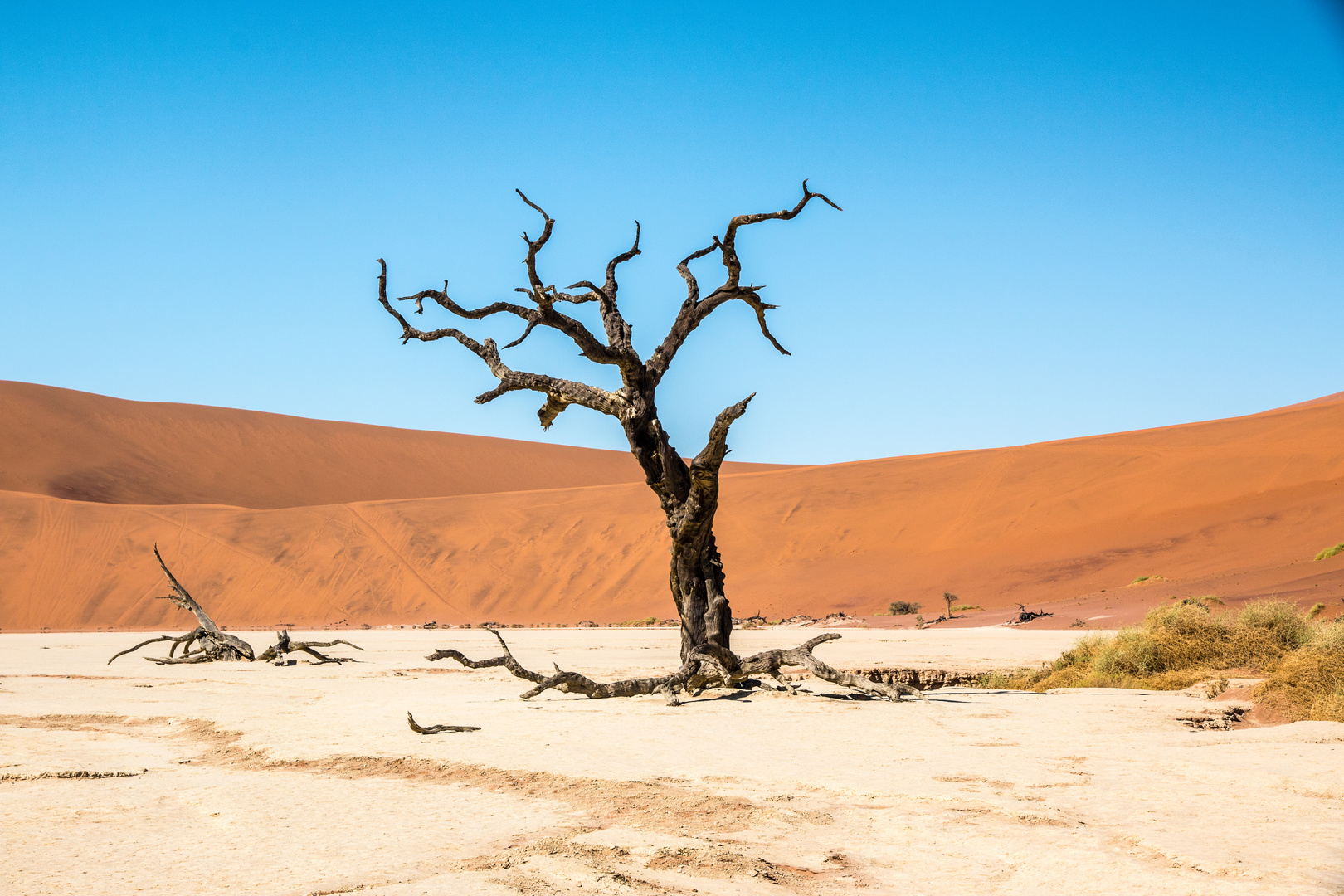 Deathvlei, Namibia