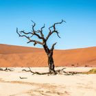 Deathvlei, Namibia