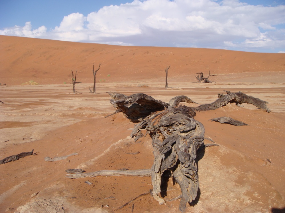 Deathvlei (Namibia)