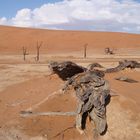 Deathvlei (Namibia)